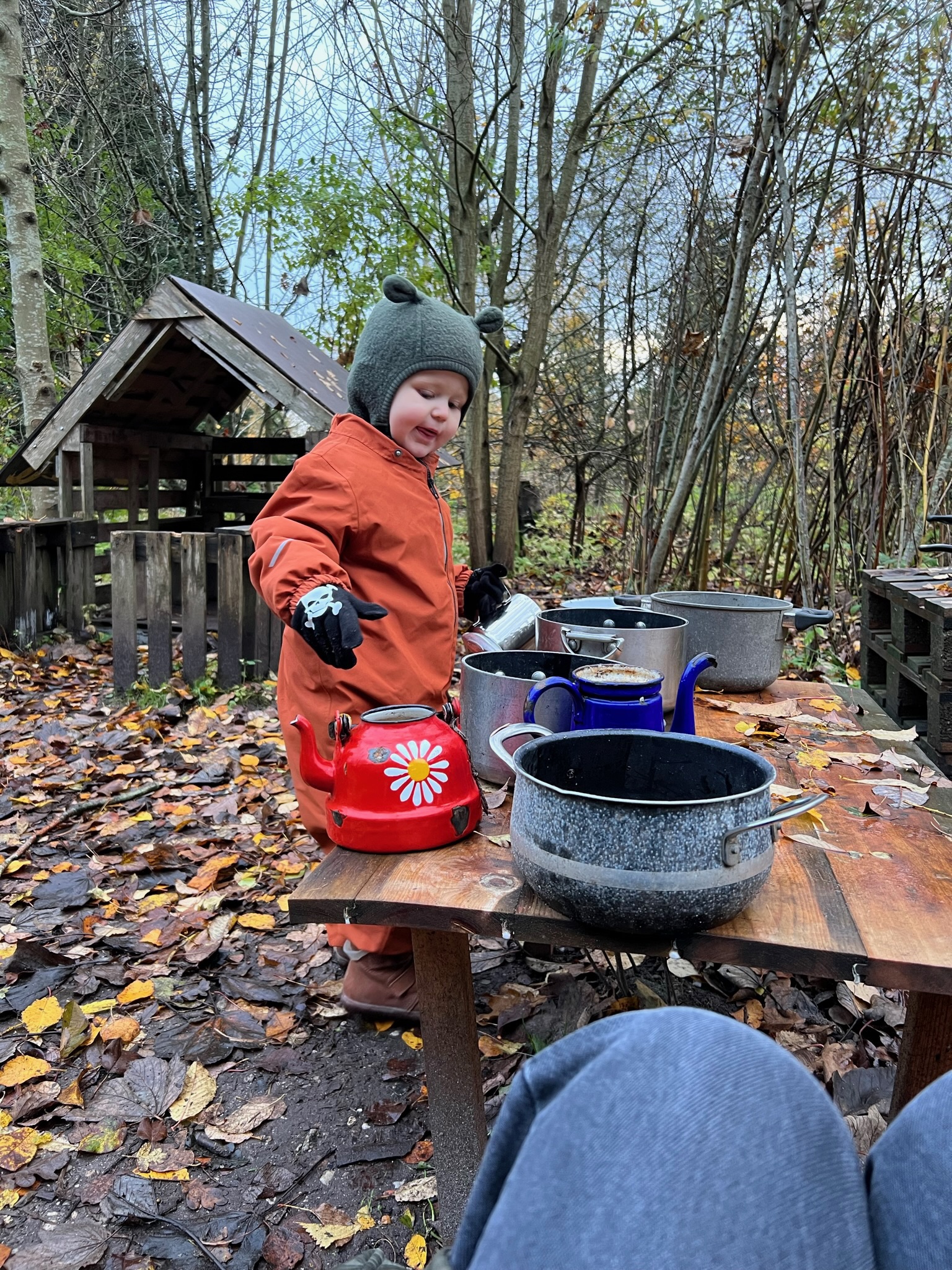 Mudderkøkken i efterårsskov